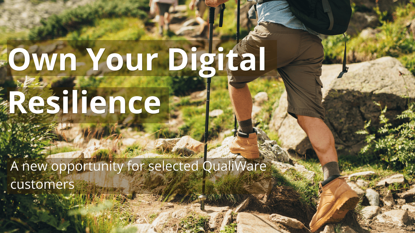Own Your Digital Resilience